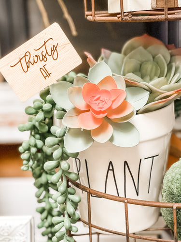 Plant Mom Garden Stakes